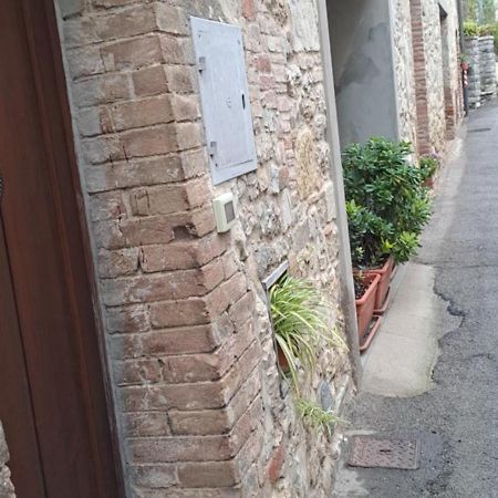 "La Casa Di Maria Luce" Con Terrazza Panoramica Apartment Gaiole in Chianti Luaran gambar