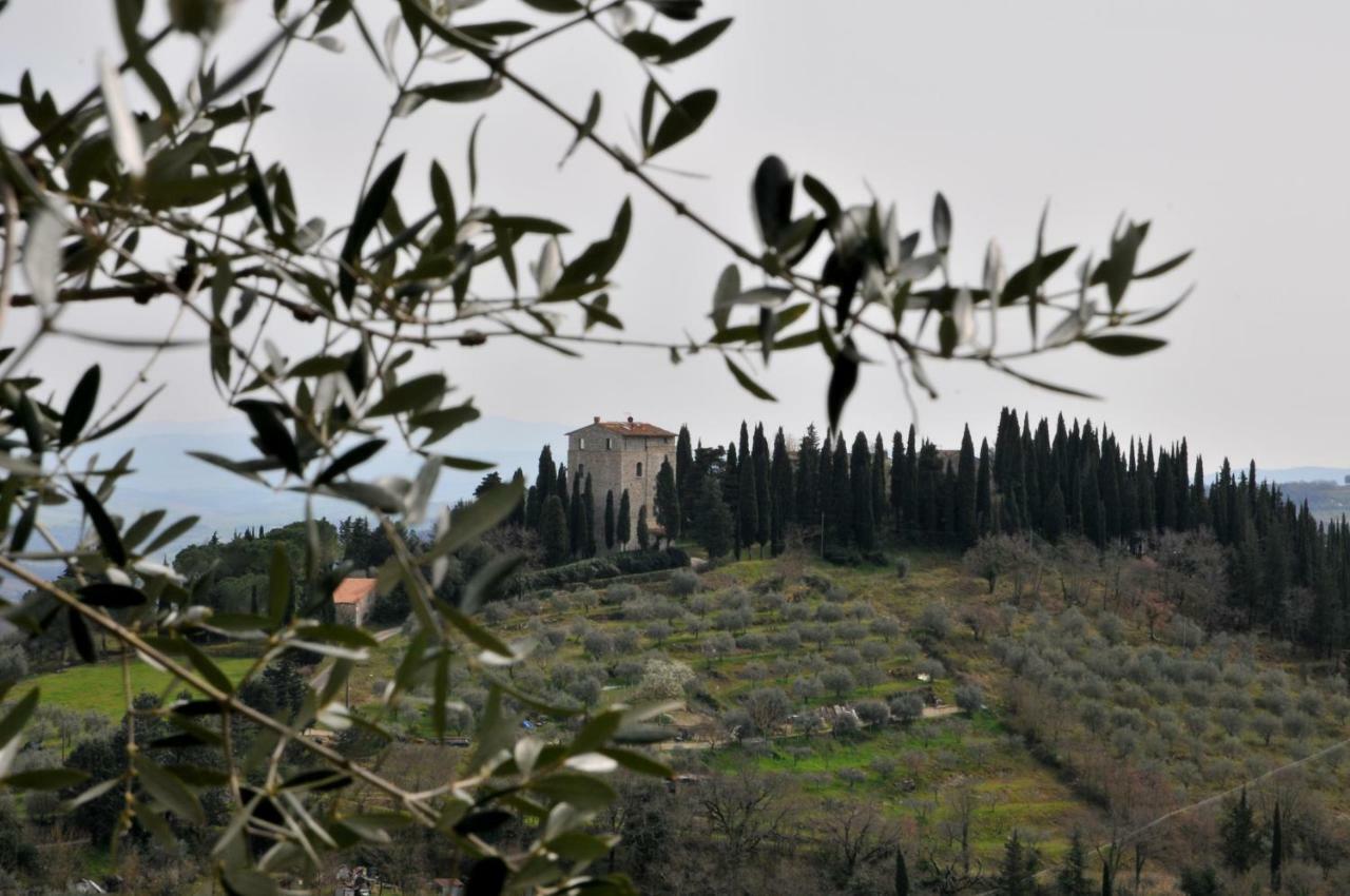 "La Casa Di Maria Luce" Con Terrazza Panoramica Apartment Gaiole in Chianti Luaran gambar